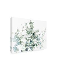 Danhui Nai Eucalyptus I Cool Canvas Art - 19.5" x 26"