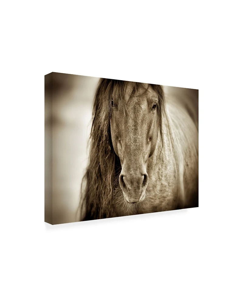 Lisa Dearin Mustang Sally Horse Canvas Art - 19.5" x 26"