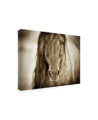 Lisa Dearin Mustang Sally Horse Canvas Art - 19.5" x 26"
