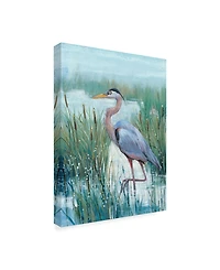 Tim Otoole Marsh Heron Ii Canvas Art - 20" x 25"