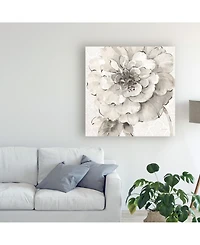 Lisa Audit Indigold Vii Gray Canvas Art - 20" x 25"