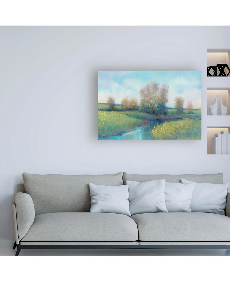Tim OToole Hidden Stream I Canvas Art - 36.5" x 48"