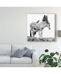 Ph Burchett Black and White Horses I Canvas Art - 20" x 25"
