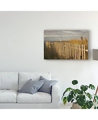 Aledanda Along the Beach Fence I Canvas Art - 20" x 25"