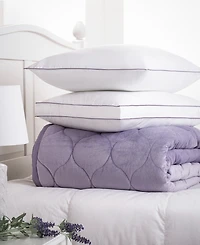 Allied Home Dream Infusion Lavender Scented Soft Touch Pillow, Standard