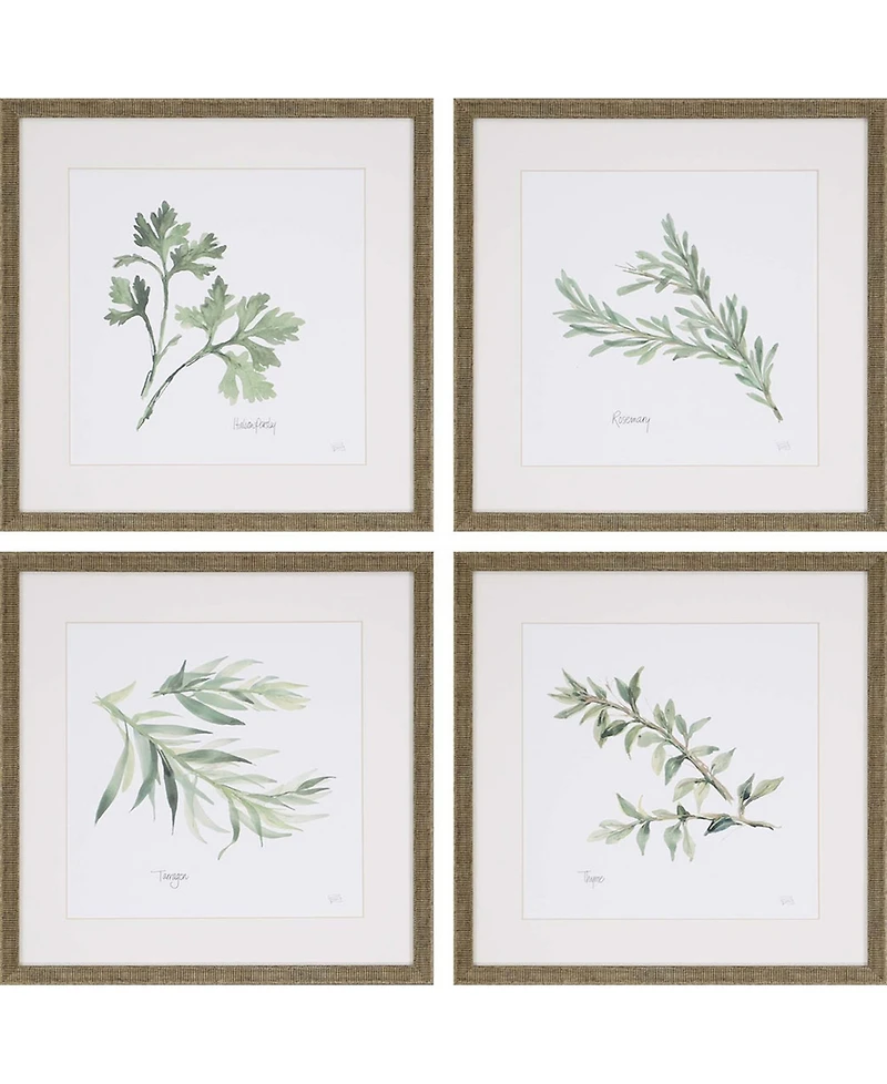 Paragon Herbs Framed Wall Art Set of 4, 17" x 17"