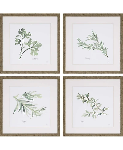 Paragon Herbs Framed Wall Art Set of 4, 17" x 17"