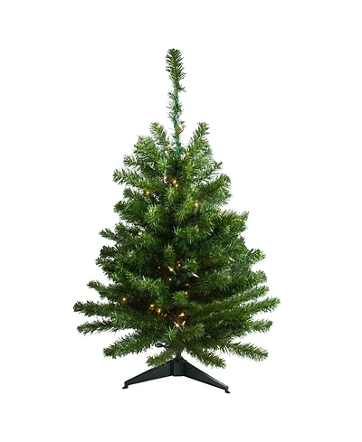 Northlight 3' Pre-Lit Canadian Pine Artificial Christmas Tree - Clear Lights