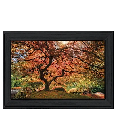 Trendy Decor 4U First Colors of Fall I by Moises Levy, Ready to hang Framed Print, Black Frame, 21" x 15"