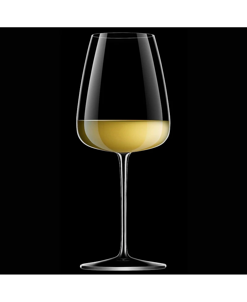 Luigi Bormioli Talismano 8-pc Stemware Set