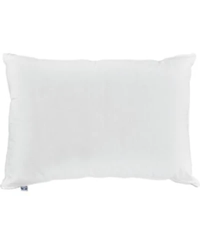 Sealy Medium Support Stomach Sleep Pillows