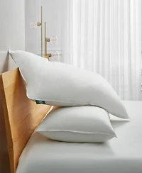 Serta White Goose Feather Down Fiber Back Sleeper 2 Pack Pillows
