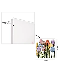 Empire Art Direct Tulip Scape x-ray Ii Frameless Free Floating Tempered Glass Panel Graphic Wall Art, 24" x 24" x 0.2"