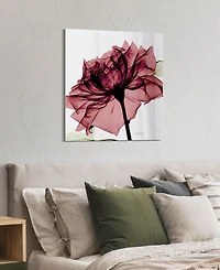 Empire Art Direct Chianti Rose I Frameless Free Floating Tempered Glass Panel Graphic Wall Art, 24" x 24" x 0.2"
