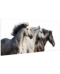 Empire Art Direct Trilogy 1 Frameless Free Floating Tempered Glass Panel Graphic Wall Art, 24" x 63" x 0.2"