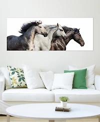 Empire Art Direct Trilogy 1 Frameless Free Floating Tempered Glass Panel Graphic Wall Art, 24" x 63" x 0.2"