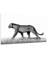 Empire Art Direct Fearless 1 and 2 Frameless Free Floating Tempered Glass Panel Graphic Wall Art, 24" x 48" x 0.2"