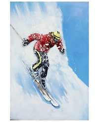 Empire Art Direct Skiing Mixed Media Iron Hand Painted Dimensional Wall Art, 48" x 32" x 2.6"