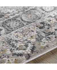 Surya Solar Sor-2313 Gray 3' x 8' Runner Area Rug