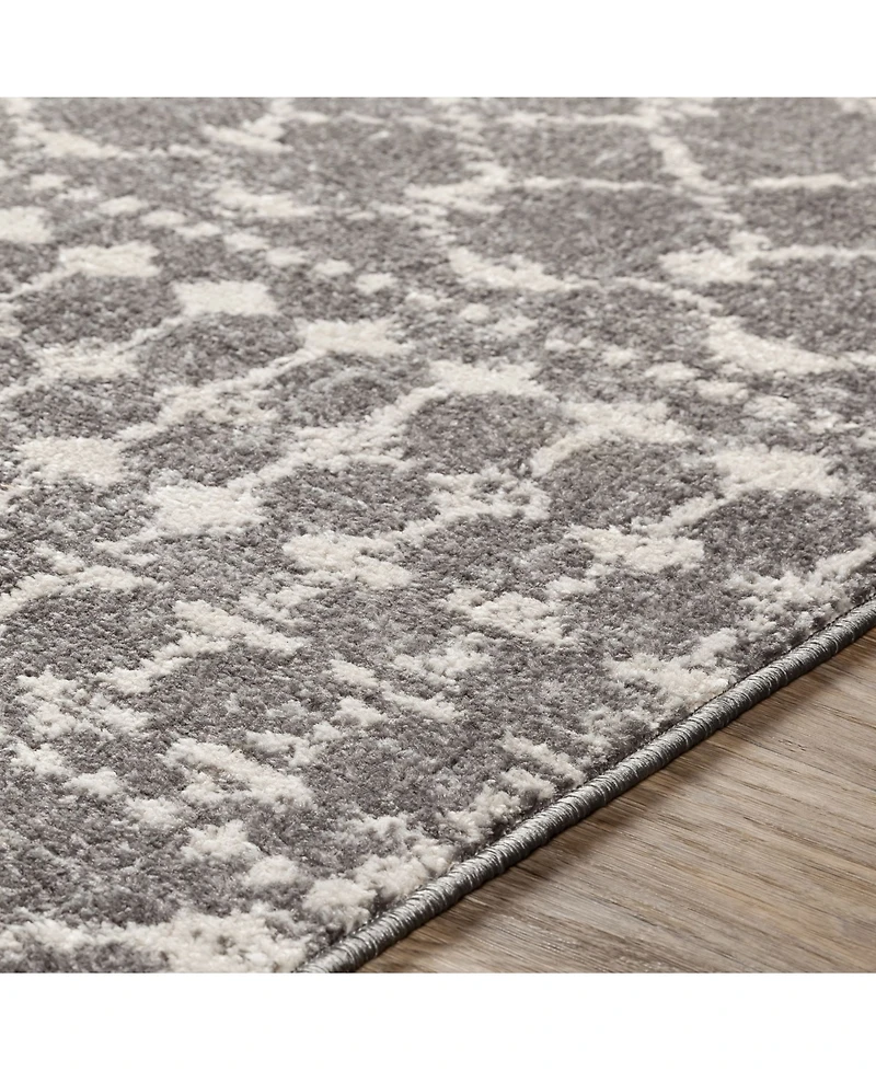 Livabliss Chester Che- 6'7" x 9' Area Rug