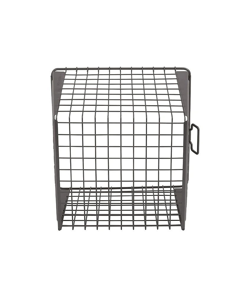 Spectrum Diversified Macklin Basket, Medium