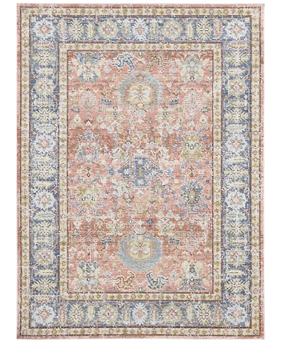 Amer Rugs Century Cen-16 Coral 5'3" x 7'3" Area Rug