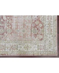 Amer Rugs Century Cen 8 Salmon Area Rug Collection