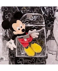 J L childress Disney Baby Universal Stroller Weather Shield