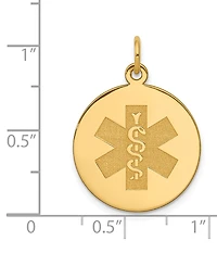 Medical Info Charm Pendant in 14k Gold