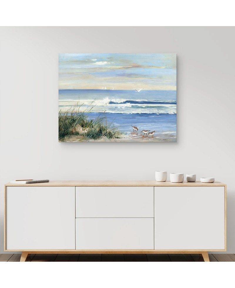 Beachcombers by Sally Swatland Canvas Art Print