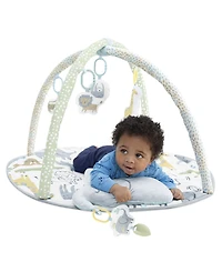 Skip Hop Safari Play Gym