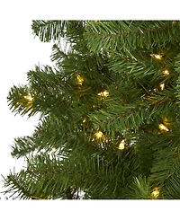 Nearly Natural Springfield Artificial Christmas Tree with 300 Warm Clear Lights and 596 Tips