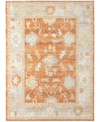 Amer Rugs Bohemian Bhm-4 Orange 7'9" x 9'9" Outdoor Area Rug
