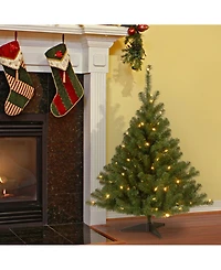 National Tree 4' Kincaid Spruce Tree w/100 Clear Lights
