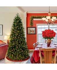 National Tree Company 7.5' "Feel Real" Jersey Fraser Slim Fir Hinged Tree with 800 Clear Lights