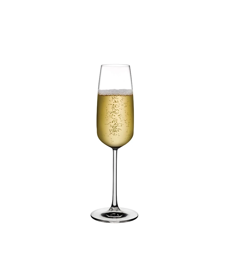Nude Glass Mirage Champagne Glasses, Set of 2