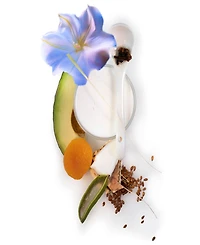 Moonflower Softening Lotion, 10.2 oz
