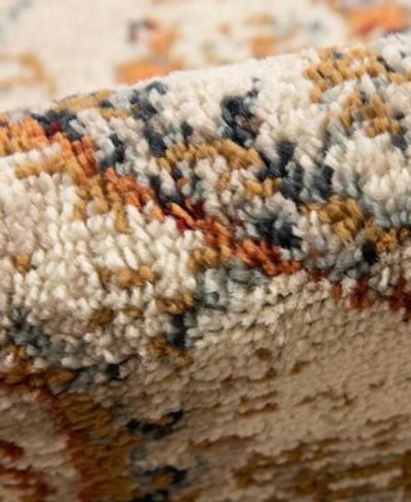 Allure Ara Area Rug