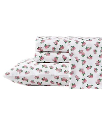 Closeout! Betsey Johnson Printed Cotton Percale 4-Pc. Sheet Set, Queen