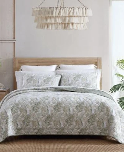 Tommy Bahama Home Maui Palm Quilt Sets