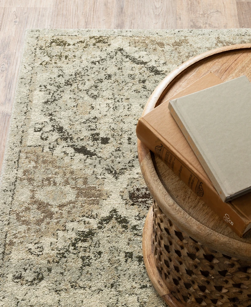 Oriental Weavers Florence 270H6 7'10" x 10'10" Area Rug