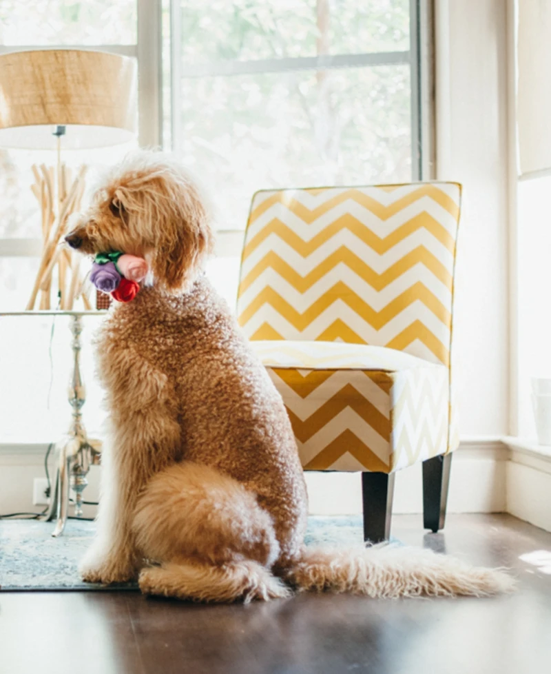 Puppy Love Collection: Rover's Roses