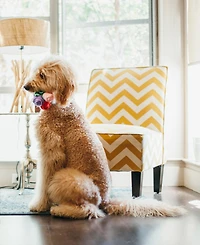 Puppy Love Collection: Rover's Roses