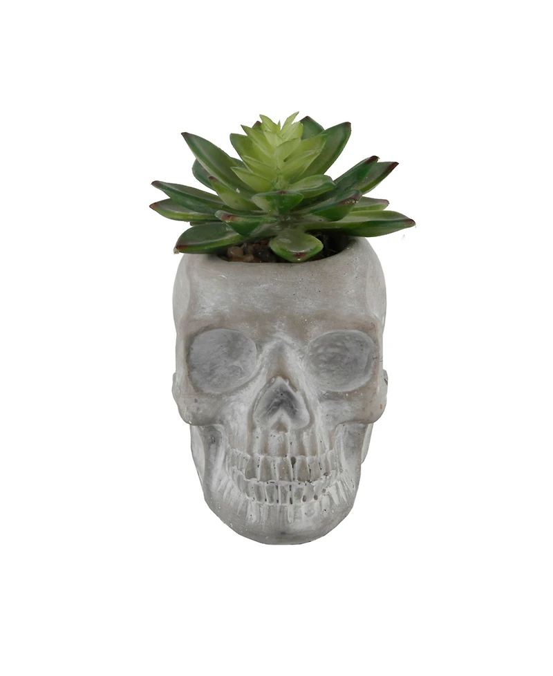 5" Artificial Succulent in Cement Sugar Skull