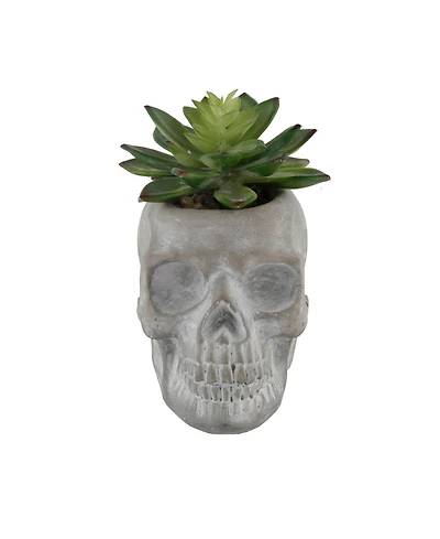 5" Artificial Succulent in Cement Sugar Skull