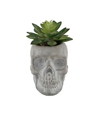 5" Artificial Succulent in Cement Sugar Skull
