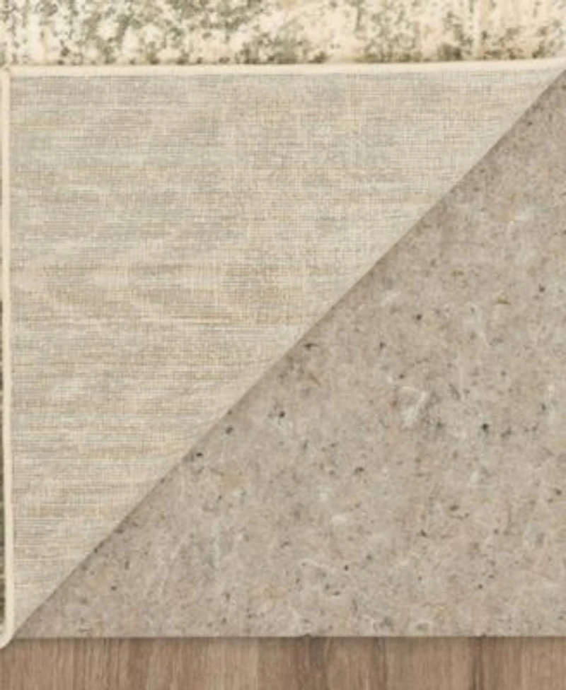 Closeout Karastan Touchstone Le Jardin Area Rug