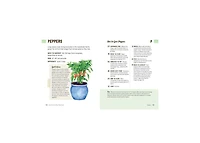 How to Grow Your Own Food