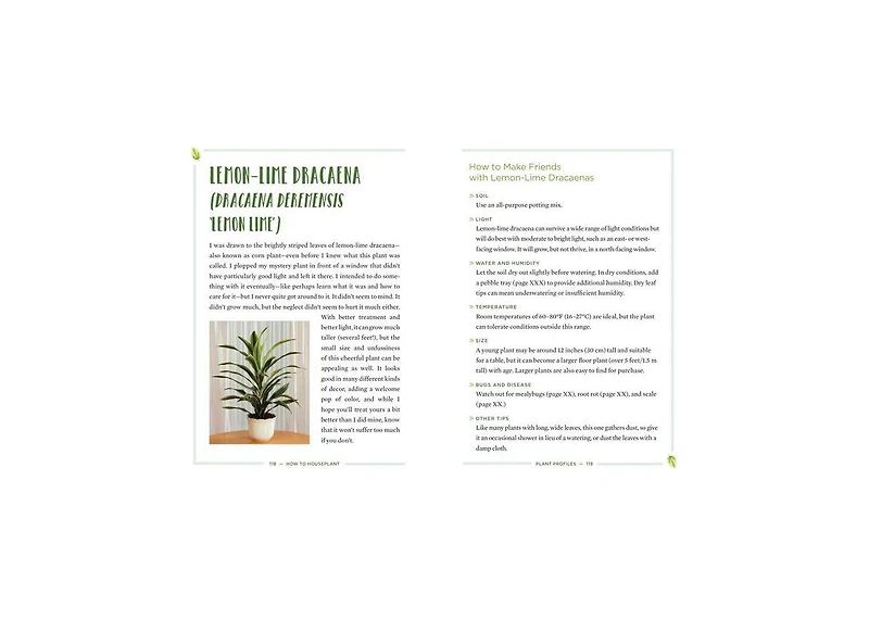 How to Houseplant
