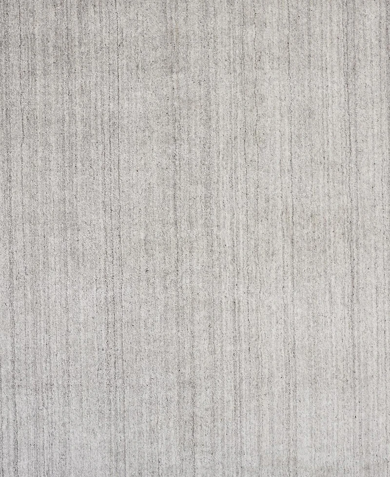 Feizy Legacy R6575 2' x 3' Area Rug